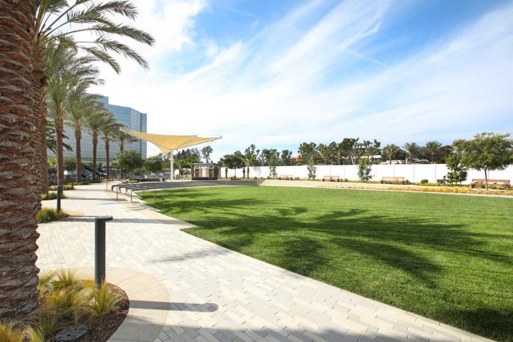 Spacious community park featuring a lush lawn and palm trees for a relaxing environment