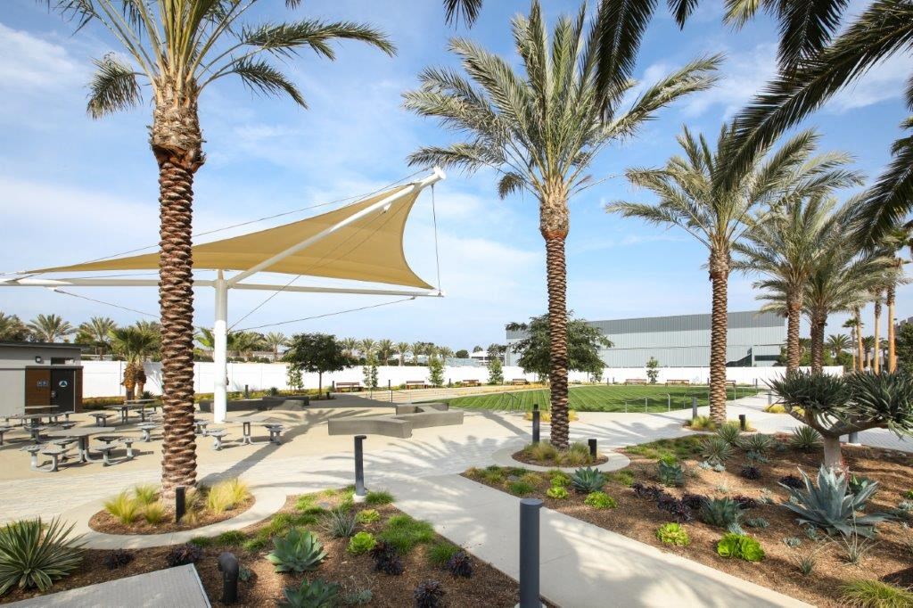 View of the beach and palm trees from the community park