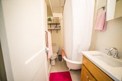 a bathroom with a toilet and a sink and a shower