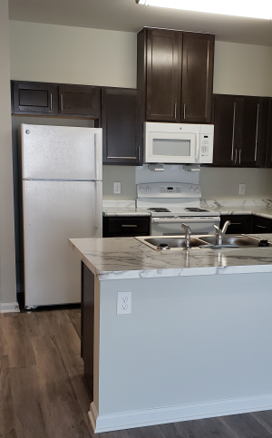 Kitchen - Photo Gallery 2