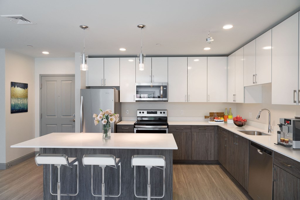 Gourmet Kitchen With Island at 735 Truman, Massachusetts, 02136