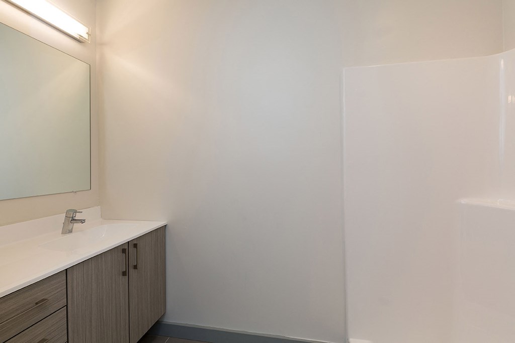 Custom Vanity Storage In Bathroom at 735 Truman, Massachusetts, 02136