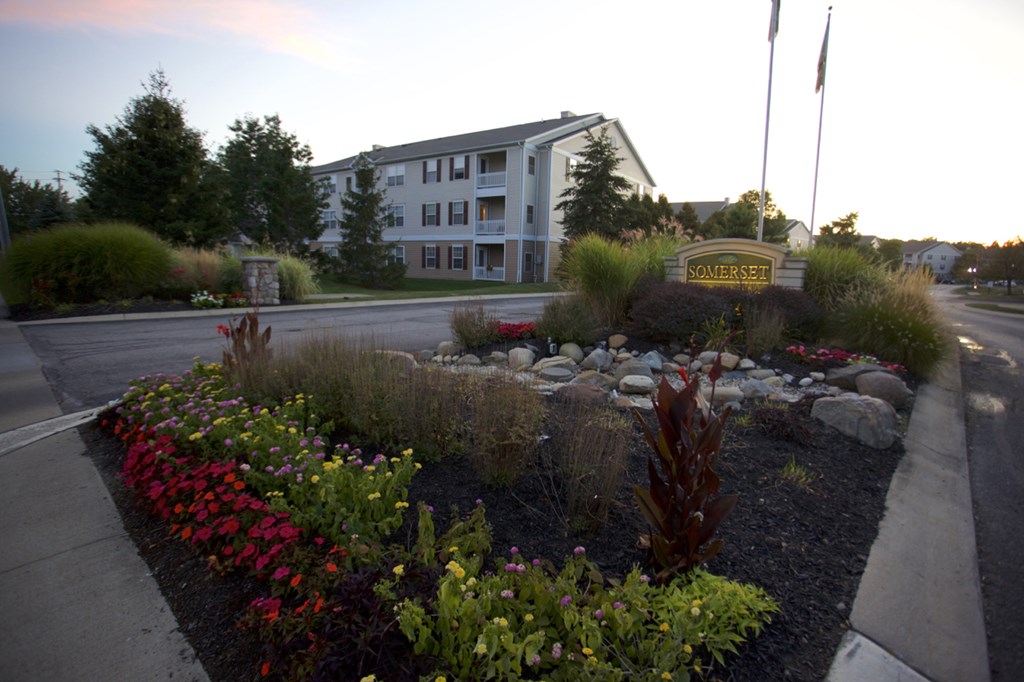 a garden in front of a building on a street