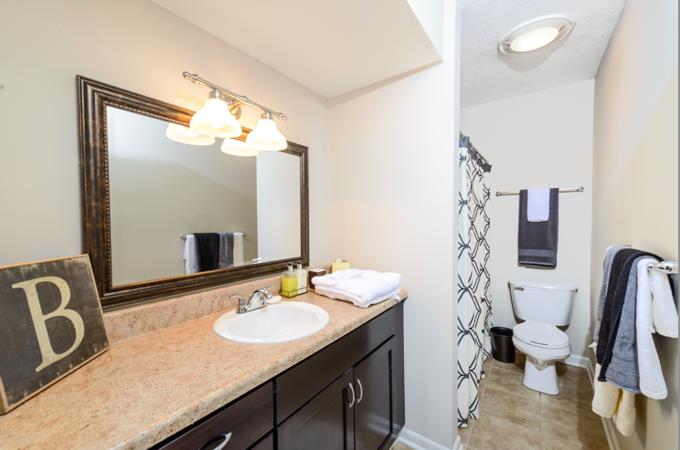 a bathroom with a sink and a mirror and a toilet