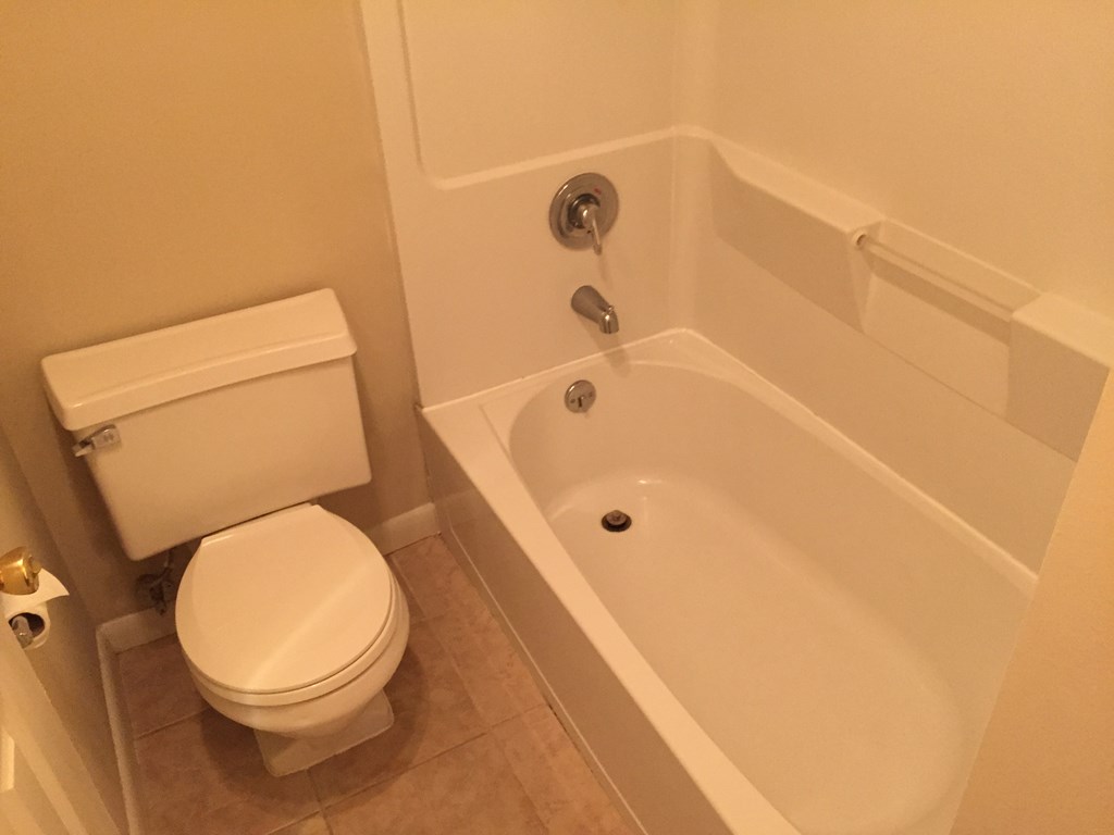 a bathroom with a toilet and a bath tub
