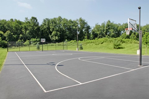 a basketball court in a park with trees