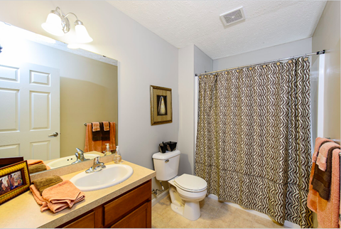 a bathroom with a sink and a toilet and a shower