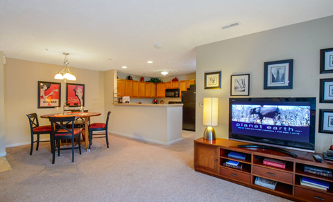 a living room with a tv and a dining room table