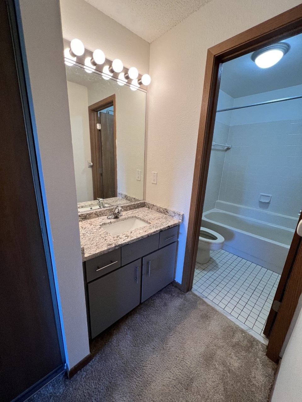 a bathroom with a sink and a toilet and a mirror
