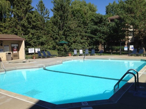 A large swimming pool surrounded by trees and a building.
