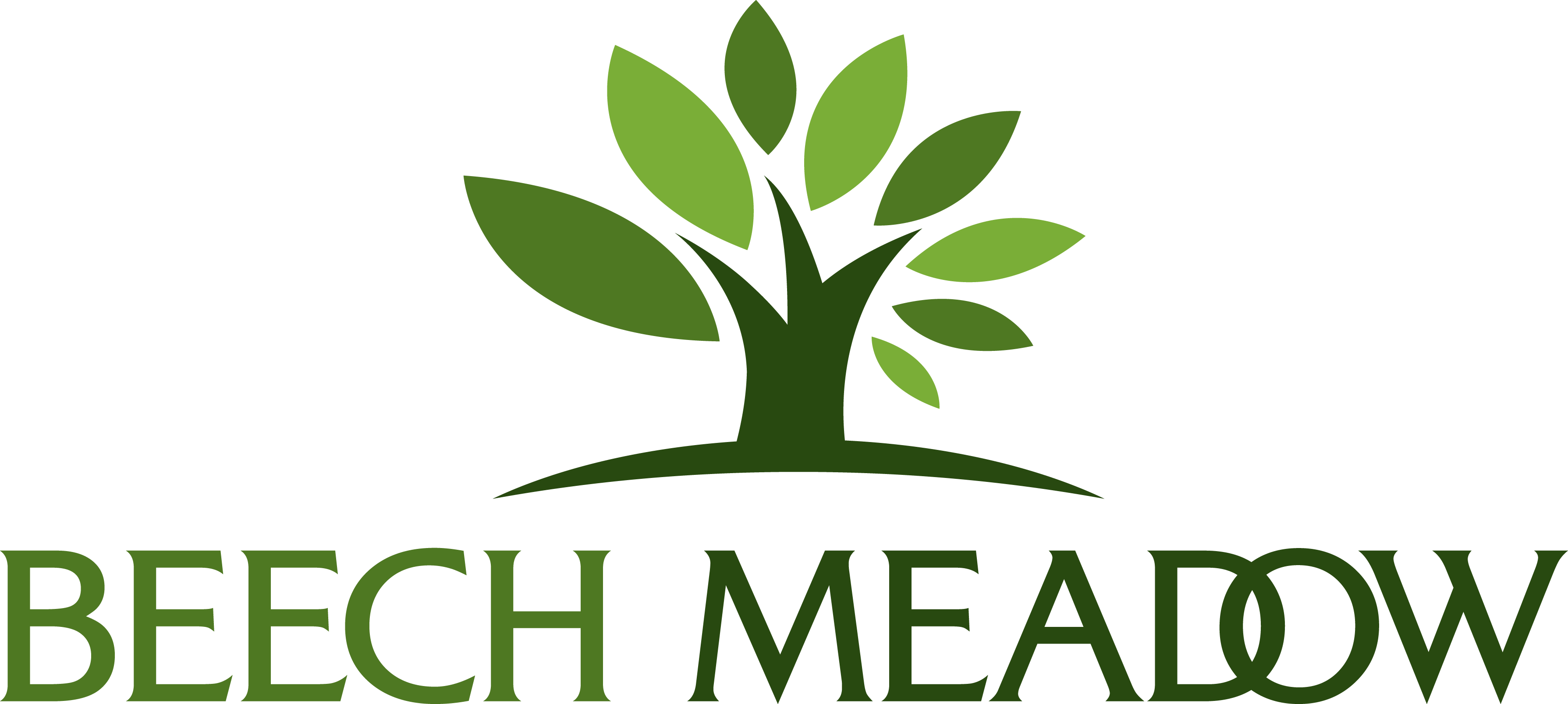 Beech Meadow Apartments logo