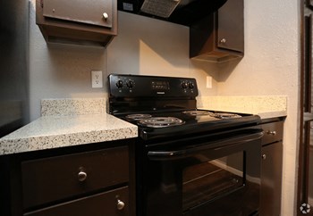 Kitchen With Oven Kitchen With Oven at Pleasant Creek Apartments, Lancaster, 75146 - Photo Gallery 2