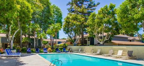 A swimming pool surrounded by trees and lounge chairs.