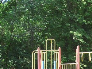 19330 Belleau Wood Drive 1-2 Beds Apartment for Rent - Photo Gallery 4