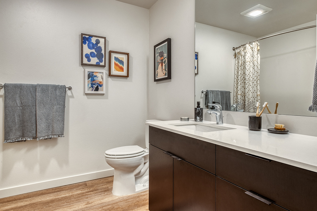 a bathroom with a sink and a toilet and a mirror