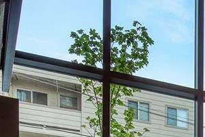4754 Fauntleroy Way SW Studio-2 Beds Apartment for Rent - Photo Gallery