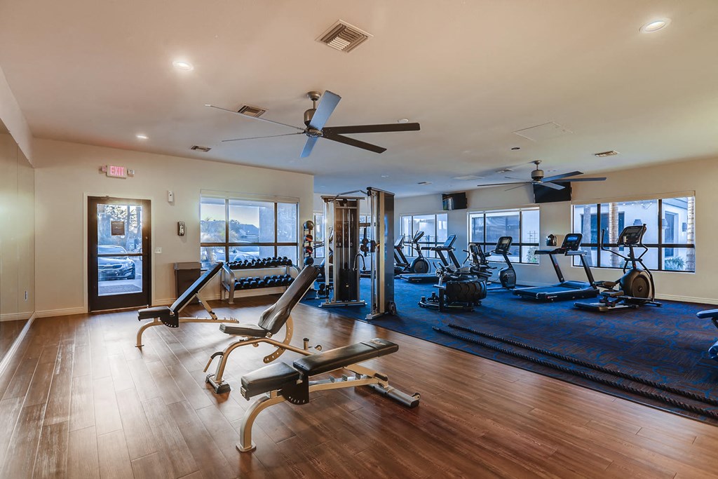 the gym is stocked with weights and other exercise equipment