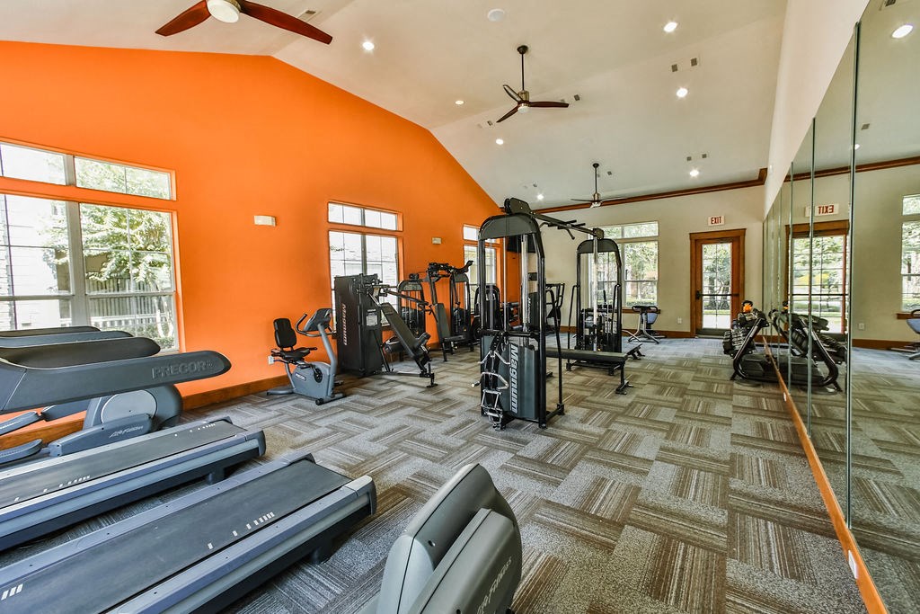 the gym is equipped with cardio equipment and treadmills
