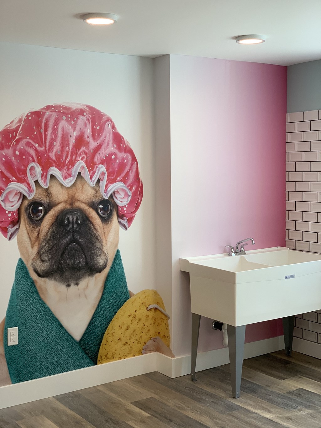 Dog Washer with Wood Inspired Floors, Mural of a Pug in a Green Bathrobe, Pink Shower Cap and Yellow Sponge