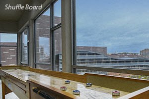 Shuffleboard Table