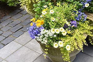 Well-maintained Landscaping