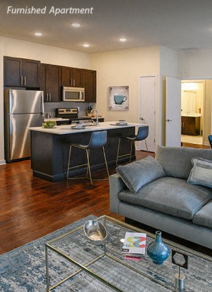 Furnished Apartment
