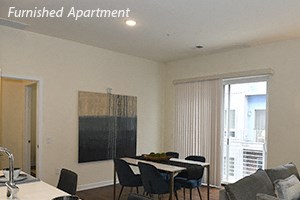 Furnished Apartment