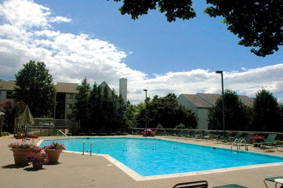a swimming pool in the middle of a building