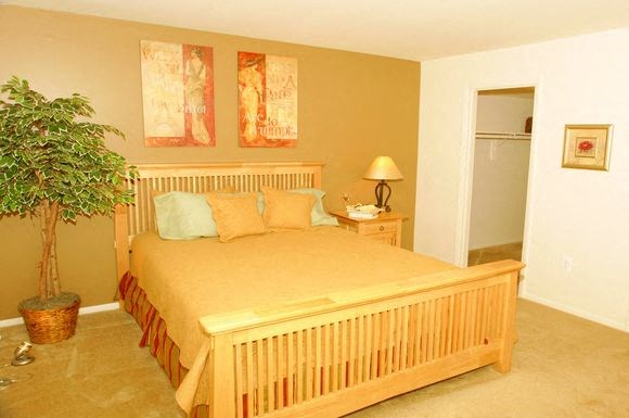 a bedroom with a bed and a potted plant