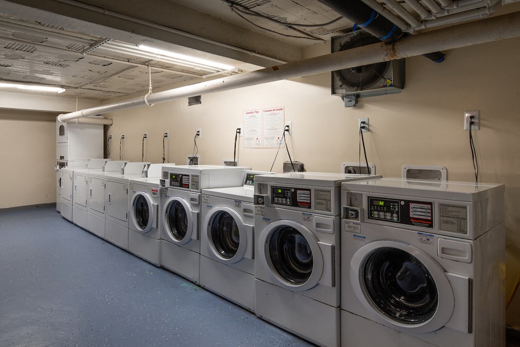 a row of washers and dryers in a laundry room