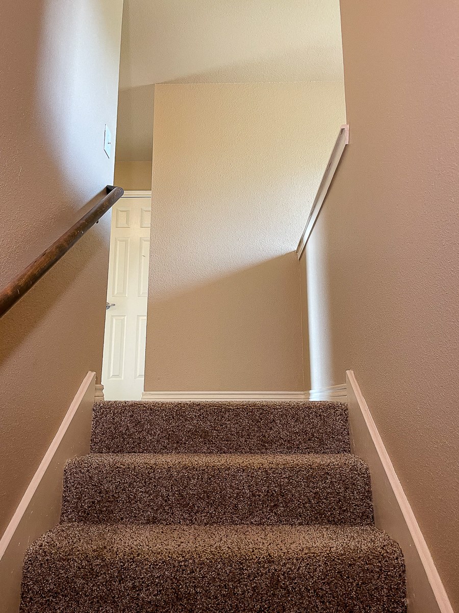 a stairway with carpeted stairs leading up to a hallway with a white door