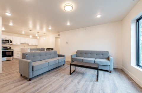 A living room with two grey couches and a wooden floor.