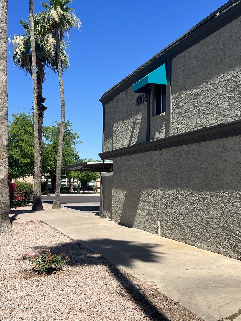 the side of a building with palm trees and a sidewalk