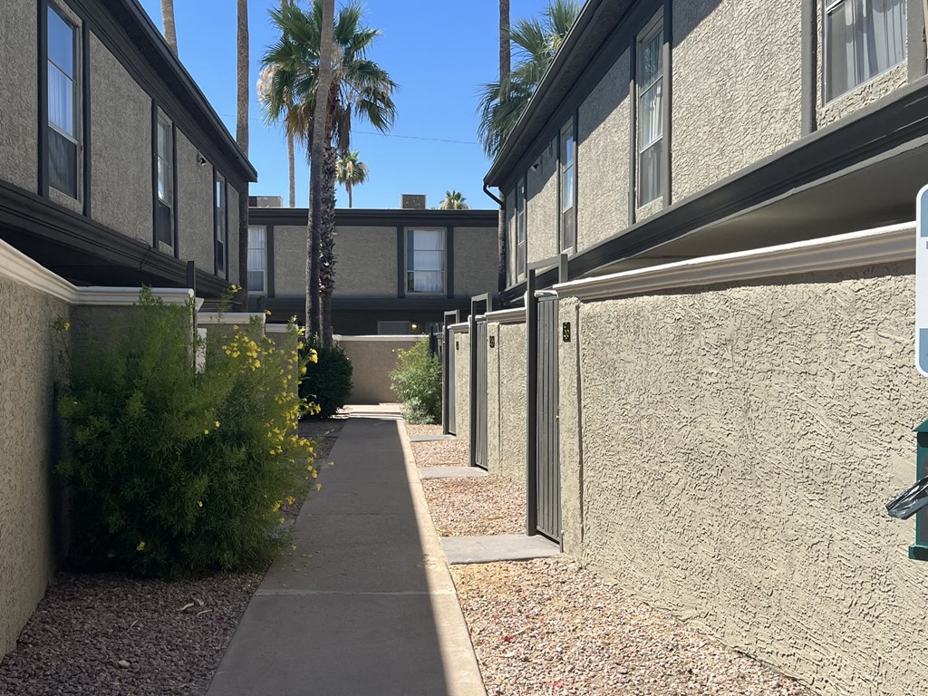 a walkway between two apartment buildings with palm trees