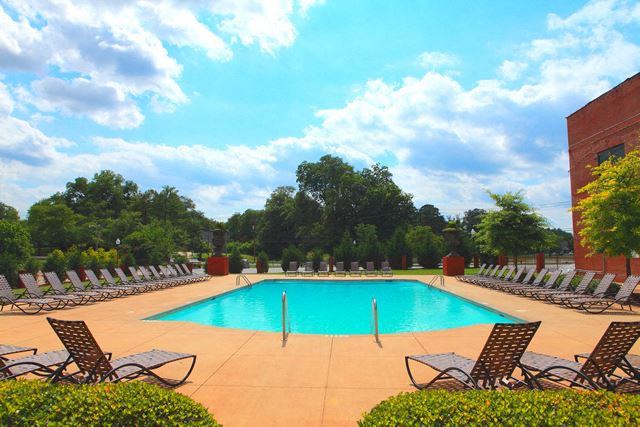 the swimming pool at our hotel