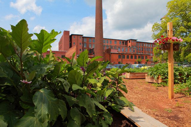 a garden with a building in the background