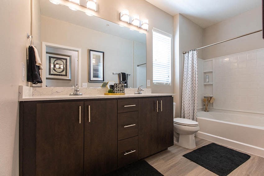 a bathroom with a sink and a toilet and a mirror