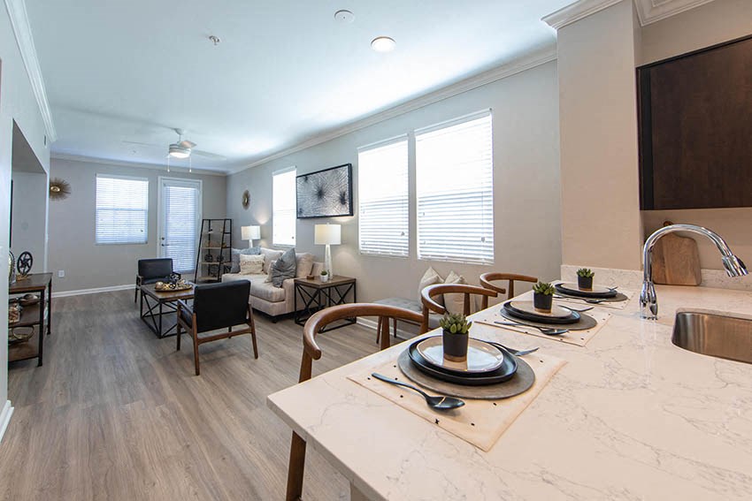 a kitchen and living room with a table and a sink