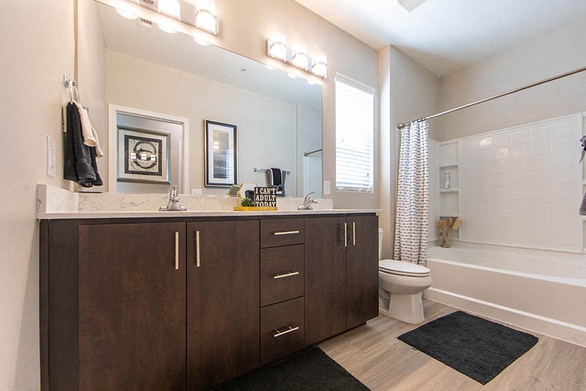 a bathroom with a toilet and a sink and a mirror