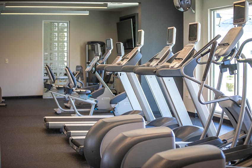a row of cardio machines in a gym