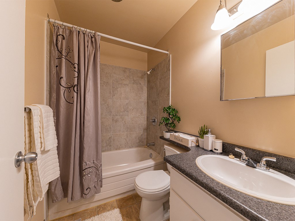 a bathroom with a sink toilet and tub and a shower