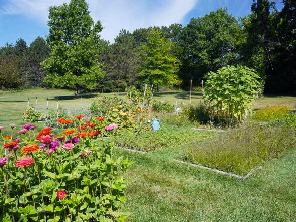 a garden with flowers in a field