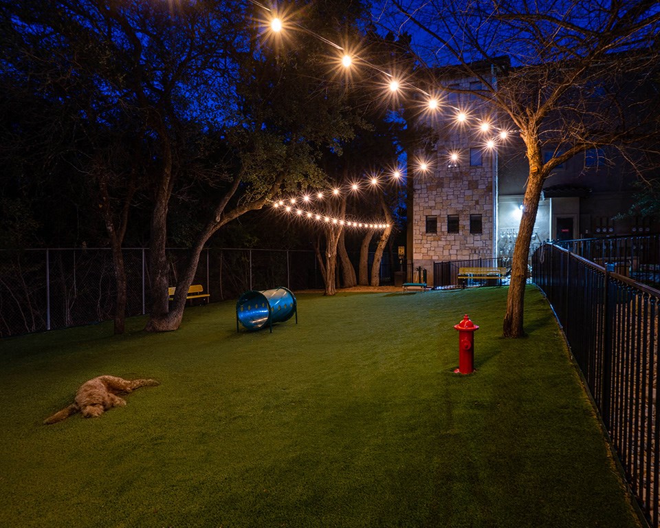 dog run at night at Nalle Woods of Westlake, Texas, 78746