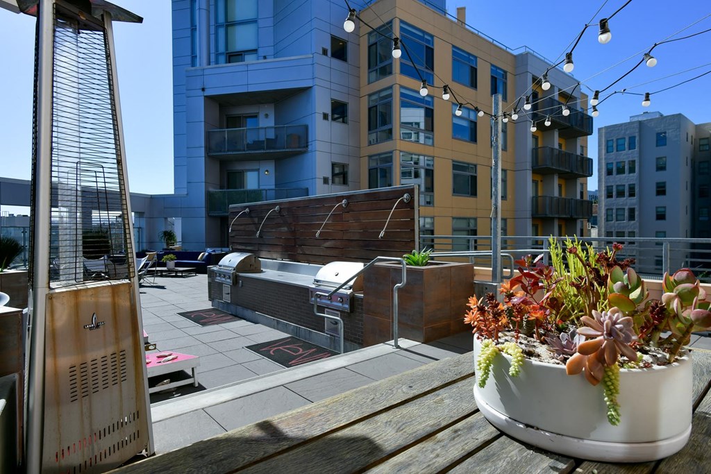 Rooftop Terrace at Venn Apartments, San Francisco, CA