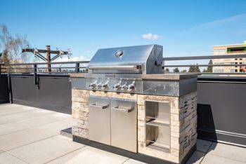 Rooftop Patio with BBQ