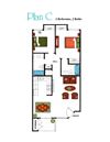 Plan C