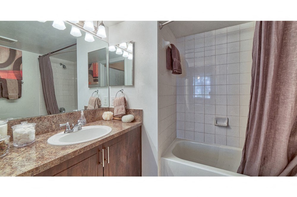 a bathroom with a sink and a tub and a mirror