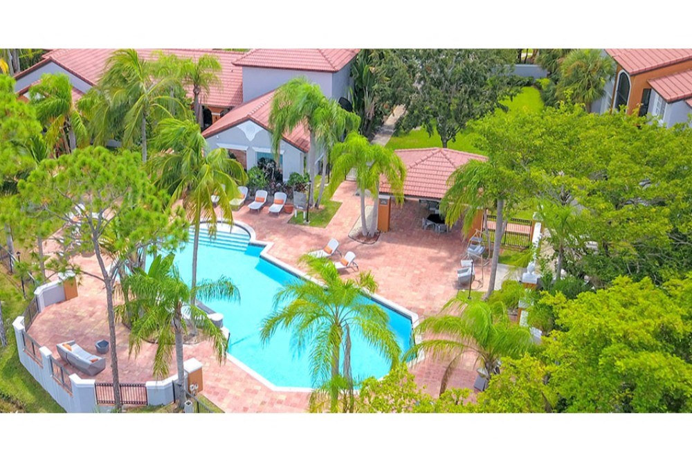 a view of the pool at the flamingo resort