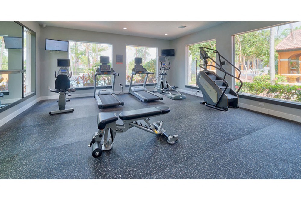the gym has plenty of cardio equipment and windows
