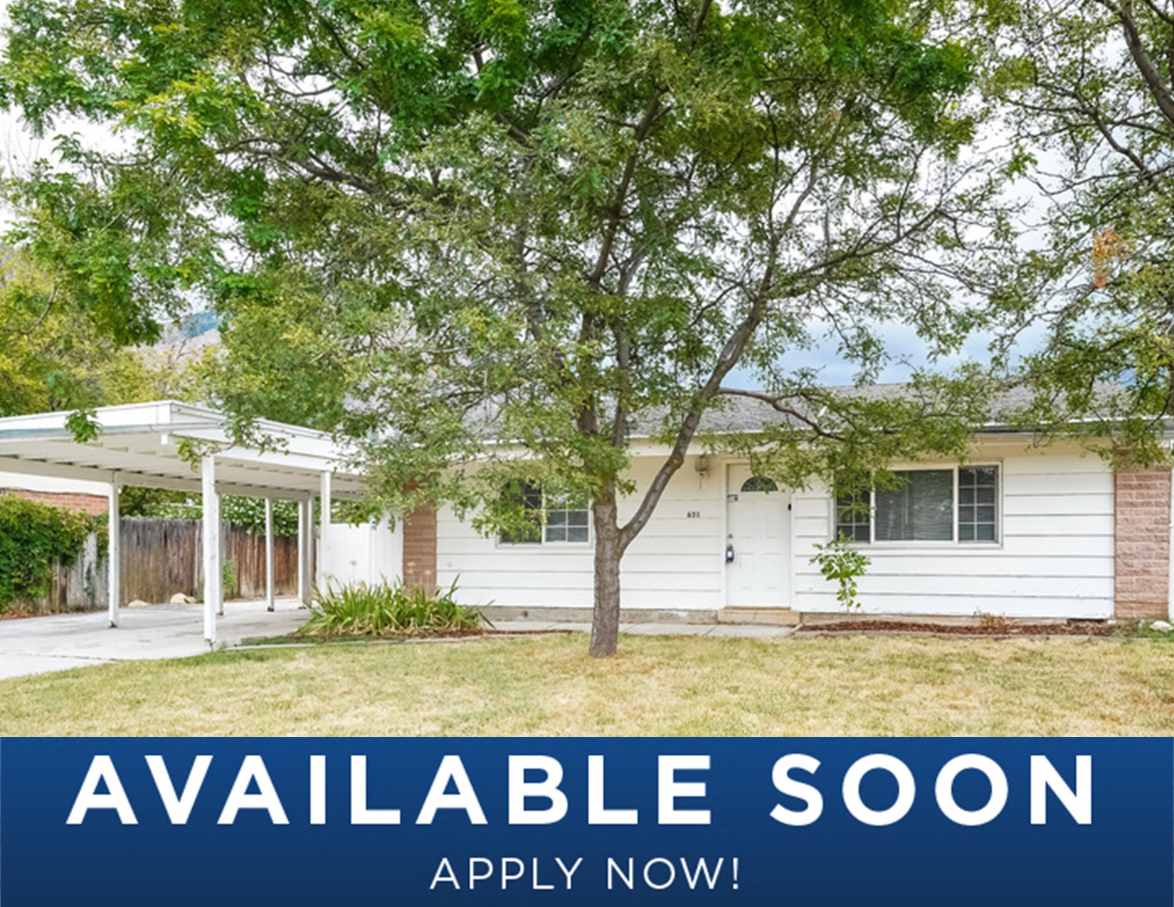 a small white house with a tree in the yard
